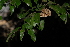  ( - OM2544)  @11 [ ] CreativeCommons - Attribution Non-Commercial Share-Alike (2011) Olivier Maurin University of Johannesburg