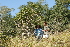  ( - OM2549)  @11 [ ] CreativeCommons - Attribution Non-Commercial Share-Alike (2011) Olivier Maurin University of Johannesburg