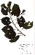  ( - OM2588)  @11 [ ] No Rights Reserved  Unspecified Unspecified