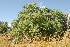  ( - OM2609)  @11 [ ] CreativeCommons - Attribution Non-Commercial Share-Alike (2011) Olivier Maurin University of Johannesburg