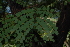  ( - OM2609)  @11 [ ] CreativeCommons - Attribution Non-Commercial Share-Alike (2011) Olivier Maurin University of Johannesburg