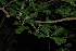  ( - OM2737)  @11 [ ] CreativeCommons - Attribution Non-Commercial Share-Alike (2011) Olivier Maurin University of Johannesburg