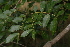  ( - OM2743)  @11 [ ] CreativeCommons - Attribution Non-Commercial Share-Alike (2011) Olivier Maurin University of Johannesburg