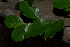  ( - OM2748)  @11 [ ] CreativeCommons - Attribution Non-Commercial Share-Alike (2011) Olivier Maurin University of Johannesburg