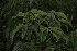  ( - OM2751)  @11 [ ] CreativeCommons - Attribution Non-Commercial Share-Alike (2011) Olivier Maurin University of Johannesburg