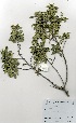  ( - OM2939)  @11 [ ] No Rights Reserved  Unspecified Unspecified