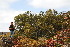  ( - OM3058)  @11 [ ] CreativeCommons - Attribution Non-Commercial Share-Alike (2011) Olivier Maurin University of Johannesburg
