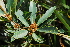 ( - OM3088)  @11 [ ] CreativeCommons - Attribution Non-Commercial Share-Alike (2011) Olivier Maurin University of Johannesburg