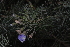 ( - OM3173)  @11 [ ] CreativeCommons - Attribution Non-Commercial Share-Alike (2011) Olivier Maurin University of Johannesburg