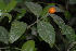  ( - OM3175)  @11 [ ] CreativeCommons - Attribution Non-Commercial Share-Alike (2011) Olivier Maurin University of Johannesburg
