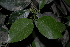  ( - OM3179)  @11 [ ] CreativeCommons - Attribution Non-Commercial Share-Alike (2011) Olivier Maurin University of Johannesburg