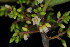  ( - OM3606)  @11 [ ] CreativeCommons - Attribution Non-Commercial Share-Alike (2011) Olivier Maurin University of Johannesburg