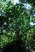  ( - OM3708)  @11 [ ] CreativeCommons - Attribution Non-Commercial Share-Alike (2011) Olivier Maurin University of Johannesburg