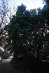  ( - OM3716)  @11 [ ] CreativeCommons - Attribution Non-Commercial Share-Alike (2011) Olivier Maurin University of Johannesburg