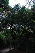  ( - OM3718)  @11 [ ] CreativeCommons - Attribution Non-Commercial Share-Alike (2011) Olivier Maurin University of Johannesburg