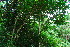  ( - OM3754)  @11 [ ] CreativeCommons - Attribution Non-Commercial Share-Alike (2011) Olivier Maurin University of Johannesburg