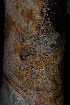  ( - OM3778)  @11 [ ] CreativeCommons - Attribution Non-Commercial Share-Alike (2011) Olivier Maurin University of Johannesburg