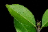  ( - OM3894)  @11 [ ] CreativeCommons - Attribution Non-Commercial Share-Alike (2011) Olivier Maurin University of Johannesburg