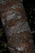  ( - OM4004)  @11 [ ] CreativeCommons - Attribution Non-Commercial Share-Alike (2012) Olivier Maurin University of Johannesburg