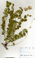  ( - OM4014)  @11 [ ] No Rights Reserved  Unspecified Unspecified