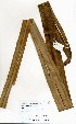  ( - OM4015)  @11 [ ] No Rights Reserved  Unspecified Unspecified
