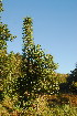  ( - OM4015)  @11 [ ] CreativeCommons - Attribution Non-Commercial Share-Alike (2012) Olivier Maurin University of Johannesburg