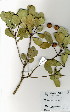  ( - OM4028)  @11 [ ] No Rights Reserved  Unspecified Unspecified