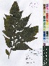  ( - OM4102)  @11 [ ] No Rights Reserved  Unspecified Unspecified