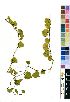  ( - OM4190)  @11 [ ] No Rights Reserved  Unspecified Unspecified