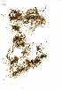  ( - OM0668)  @11 [ ] No Rights Reserved  Unspecified Unspecified