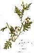  ( - OM_MvdB4)  @11 [ ] No Rights Reserved  Unspecified Unspecified