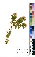  ( - PG0093)  @11 [ ] No Rights Reserved  Unspecified Unspecified