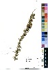  ( - PG0095)  @11 [ ] No Rights Reserved  Unspecified Unspecified