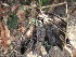  ( - PPRI-0002)  @11 [ ] No Rights Reserved  Unspecified Unspecified