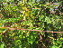  ( - PPRI-0002)  @11 [ ] No Rights Reserved  Unspecified Unspecified