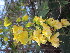  ( - PPRI-0002)  @11 [ ] No Rights Reserved  Unspecified Unspecified