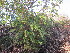  ( - PPRI-0002)  @11 [ ] No Rights Reserved  Unspecified Unspecified