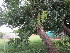  ( - PPRI-0009)  @11 [ ] No Rights Reserved  Unspecified Unspecified