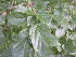  ( - PPRI-0009)  @11 [ ] No Rights Reserved  Unspecified Unspecified
