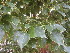  ( - PPRI-0018)  @11 [ ] No Rights Reserved  Unspecified Unspecified