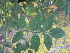  ( - PPRI-0032)  @11 [ ] No Rights Reserved  Unspecified Unspecified