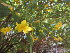  ( - PPRI-0032)  @11 [ ] No Rights Reserved  Unspecified Unspecified