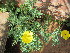  ( - PPRI-0034)  @11 [ ] No Rights Reserved  Unspecified Unspecified