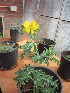  ( - PPRI-0034)  @11 [ ] No Rights Reserved  Unspecified Unspecified