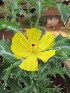  ( - PPRI-0034)  @11 [ ] No Rights Reserved  Unspecified Unspecified