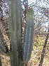 ( - PPRI-0038)  @11 [ ] No Rights Reserved  Unspecified Unspecified