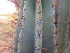  ( - PPRI-0038)  @11 [ ] No Rights Reserved  Unspecified Unspecified