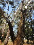  ( - PPRI-0045)  @11 [ ] No Rights Reserved  Unspecified Unspecified