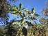  ( - PPRI-0050)  @11 [ ] No Rights Reserved  Unspecified Unspecified