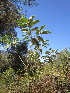  ( - PPRI-0050)  @11 [ ] No Rights Reserved  Unspecified Unspecified